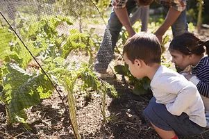 children learning to garden and care for plants with an adult